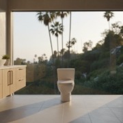 One Piece Toilets in Los Angeles: The Ultimate Guide to Modern Bathroom Style